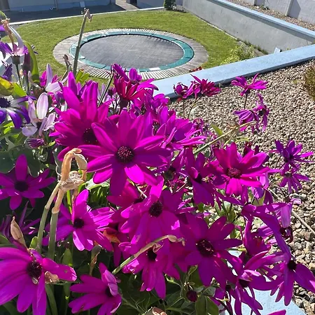 View Doubleroom&private Bath בית אירוח קאסלבר